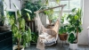 8 best air-purifying indoor plants for your home